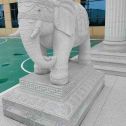  白麻花岗岩动物异形石雕-大象