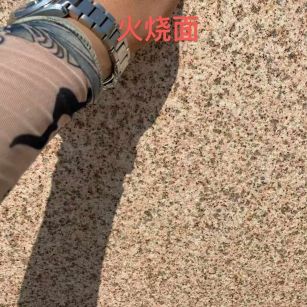 黄金麻火烧面