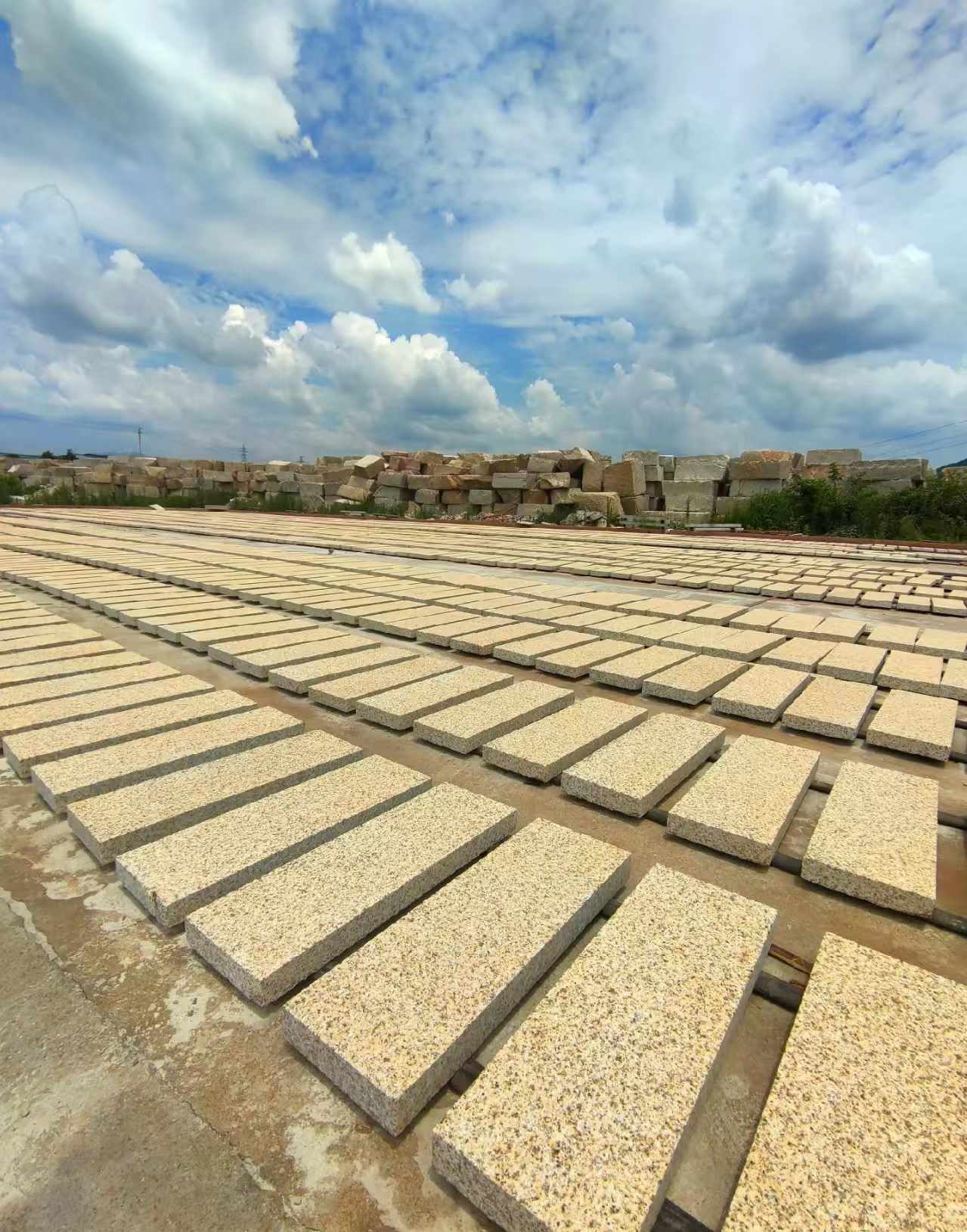  黄金麻荔枝面花岗岩石材地铺石防护中