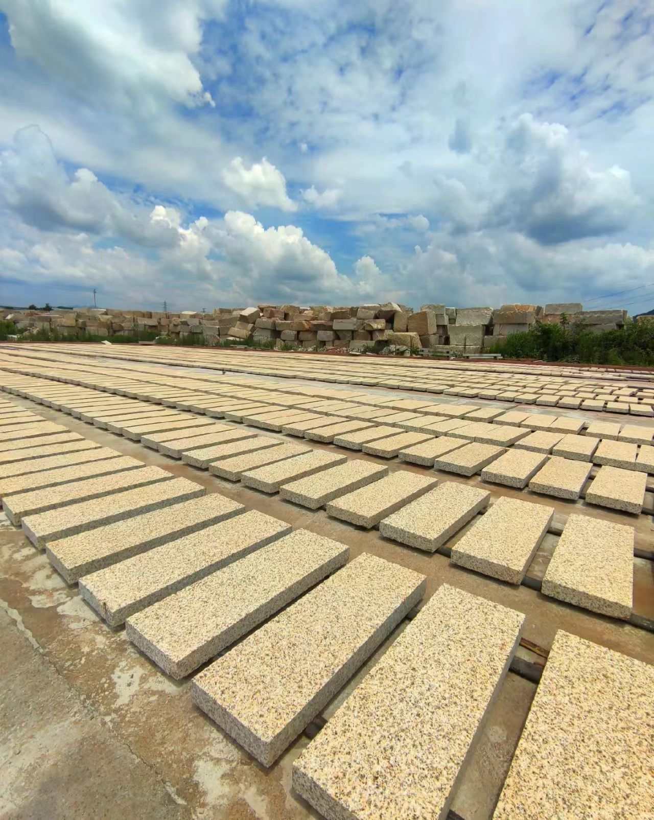  黄金麻花岗岩荔枝面地铺石防护中